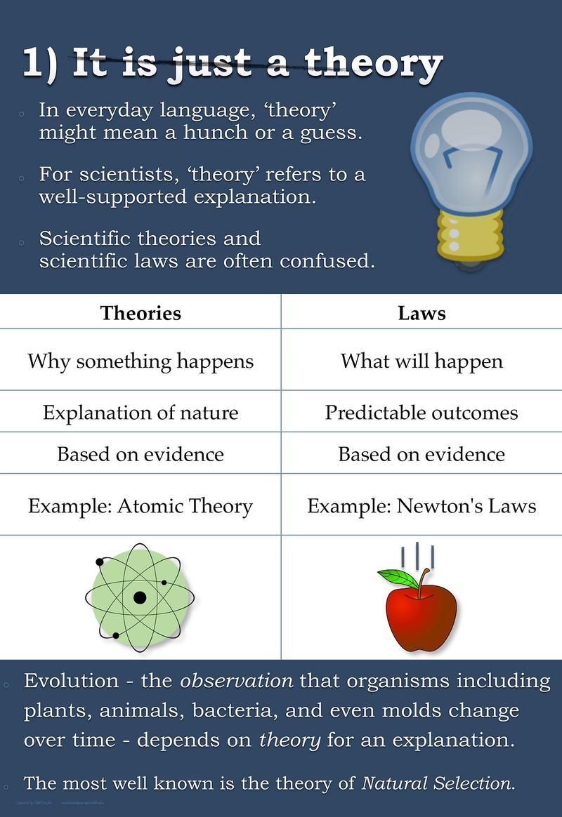 Illustration for article titled Top five misconceptions about evolution according to science